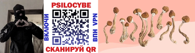 Галлюциногенные грибы GOLDEN TEACHER  Разумное 